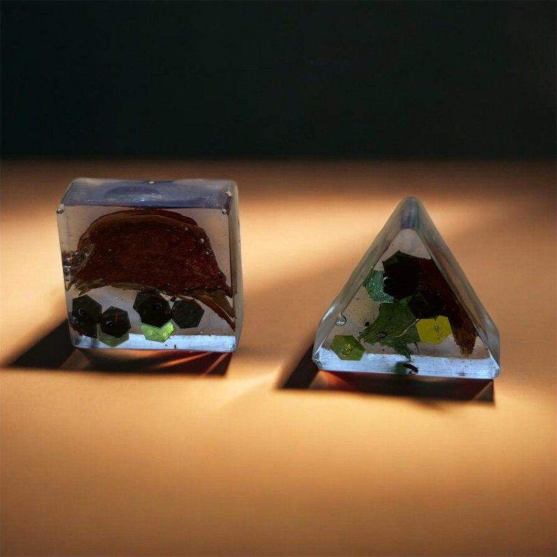 Cercei cu flori uscate în rășină