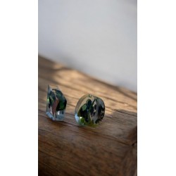 Cercei cu flori uscate în rășină